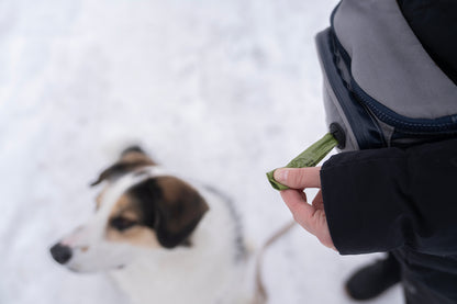 The Ultimate Dog Walkers Fanny Pack